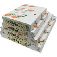 北越コーポレーション NEWファインカラー B4 クリーム 007574624 1冊(500枚)