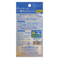 アヌシ OBー807 歯間のお掃除しま専科 歯のようじ 4544434510989 1個(80本)