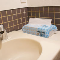 小野商事 ペーパータオル 中判 厚手 200枚入 WS6520 1個