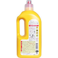 マルフクケミファ 除菌 パイプクリーナー 1000mL 1個(1000mL入)（直送品）