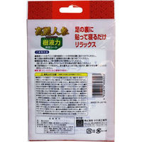 小久保工業所 樹液力 高麗人参快足シート 1回分 2枚入 S-602 1個(2枚入)（直送品）