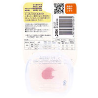 リッチェル 吸せつラボ おしゃぶり ネコ 新生児用 ケース付 4945680204064 1個（直送品）