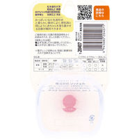 リッチェル 吸せつラボ おしゃぶり ビスケット 新生児用 ケース付 4945680204071 1個（直送品）