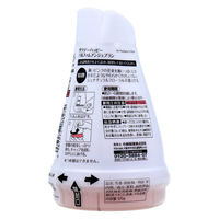 小林製薬 サワデーハッピー パルファムアンジェブラン 120g 4987072088272 1個(120g入)（直送品）