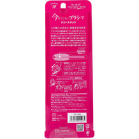 池本刷子工業 デュボア トリートメント機能性ブラシ TM1200 1個（直送品）