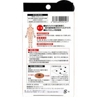 マグマックス MAGMAX200 マグマックスBAN 24粒入 4589469292127 1箱(24粒入)（直送品）