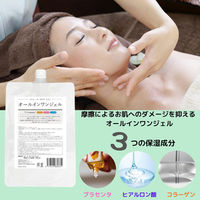 アラコーポレーション オールインワンジェル 詰替用 1000mL 4573512880331 1本(1000mL入)（直送品）