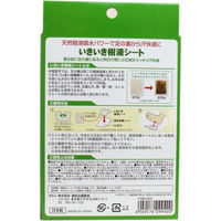 東京企画販売 いきいき樹液シート 6枚入 TKBR-003 1個(6枚入)（直送品）