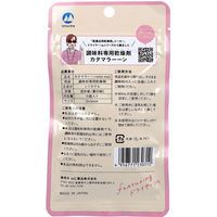 山仁薬品 調味料専用乾燥剤 カタマラーーン mini 15個入 4956771230312 1袋(15個入)（直送品）