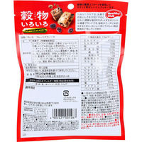 ハマダコンフェクト ヘルシークラブ 穀物いろいろ フルーツグラノーラ 64g 4902621005487 1袋(64g入)（直送品）