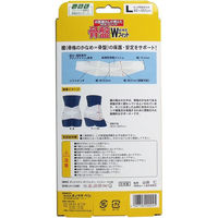 ミノウラ NEWゴムバンド 骨盤Wフィット 超薄型 Lサイズ 4907706200245 1枚（直送品）