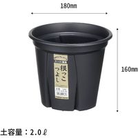 【園芸用品】アップルウェアー 根っこつよし 6号 ブラック 1個