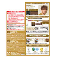 ルシード デザインヘアカラー モダンブラウン 2B メンズ用 白髪染め マンダム（医薬部外品）