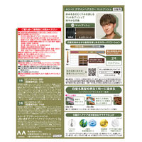 ルシード デザインヘアカラー マットアッシュ 2M メンズ用 白髪染め マンダム（医薬部外品）