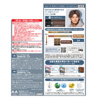 ルシード デザインヘアカラー クールアッシュ 2A メンズ用 白髪染め マンダム（医薬部外品）