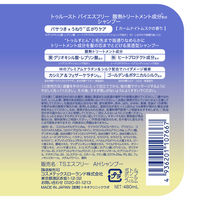 トゥルースト バイエスフリー 酸熱トリートメントシャンプー ポンプ 480ml コスメテックスローランド