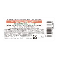 サロンスタイル BIOLISS ビオリス ボタニカル メルティバーム 32g コーセーコスメポート