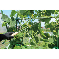 浅野木工所 ステン収穫鎌Y型 30×55mm #09560 1本（直送品）