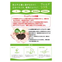 ヴェルデ ヴェルデシリカ 2058082 1袋（直送品）