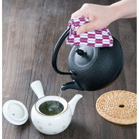 池永鉄工 鉄瓶 希のぞみ 507506 1個（直送品）