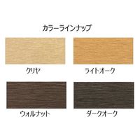 アサヒペン 水性人工木ウッドステイン 1.8L ウォルナット 9019375 1個（直送品）