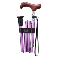 ケイ・ホスピア 愛杖 Eシリーズ 折畳式 パープル E-204B 1本（直送品）