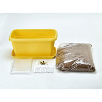 聖新陶芸 GD-93101 エンジョイベジ えだまめ 1セット（直送品）