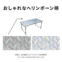 ラプラス エウレカ アソシエーション レジャーテーブル(リラックスグリーン) MT-001-RG 1台