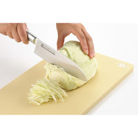 ヨシカワ 抗菌エラストマー まな板 ライト ミドル SJ1495 1枚