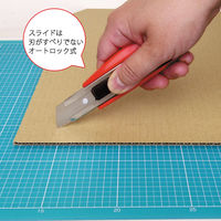 エヌティー NT カッターZL型 ZL-1P-R 袋 1本（直送品）