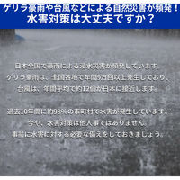 KAEI 吸水式簡易土のう a33180 1セット(10枚入)