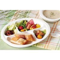 スケーター NLPS1 木目すくいやすい仕切プレート 【ブラック】 383748-NLPS1 1個