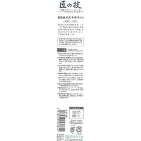 グリーンベル G-2156 匠の技 黄楊耳かき（ケース付き） 349811