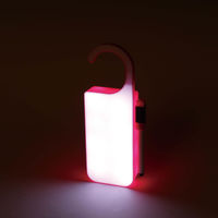 ハング メッセンジャー ライト ピンク NB-0748PK DULTON/ダルトン