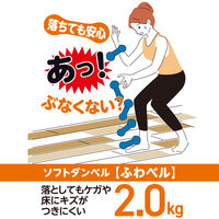 安全ソフトダンベル ふわベル 2.0kg SFTD-2.0 1個 柔らかな砂状の重り 安心設計 落下対策 リハビリ 運動 高齢者 医療 介護 山善