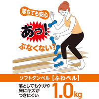 安全ソフトダンベル ふわベル 1.0kg SFTD-2.0 1個 柔らかな砂状の重り 安心設計 落下対策 リハビリ 運動 高齢者 医療 介護 山善