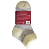 ディックコーポレーション もっちり日和 アンクル 2P 杢 CA-330 1セット(2個)（直送品）