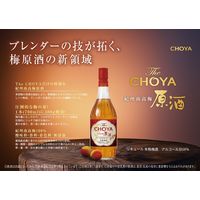 チョーヤ梅酒　ザ・チョーヤ 南高梅原酒 18度 700ml 1本 梅酒