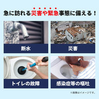 非常用トイレ 30回分 14個/1ケース EST030 簡易トイレ 15年以上保存 汚物袋付き 仮設トイレ 非常時 災害時 防災グッズ（直送品）
