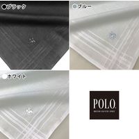 ニシオ POLO フォーマルハンカチ ブルー PLC001BL 1セット(5枚)（直送品）