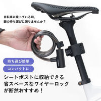 ロックブロス シートポストロック(32120001001)ブラック 32120001001 1個 4570122012695（直送品）