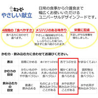 キユーピー やさしい献立 舌でつぶせる11種アソート 36889 1箱(12袋入)