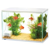 金魚元気 ぶくぶく 水キレイセット L 1台 ジェックス