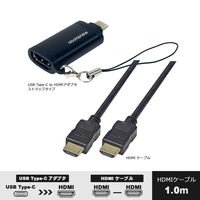 Vodaview 付USB-C to HDMI変換アダプター HDMI 1.0mケーブルセット VV-UCHD010-STR 1本