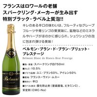 フランス ベルモン・ブラン・ド・ブラン・ブリュット・プレステージ スパークリングワイン　白 辛口 750ml 1本 ワインキュレーション
