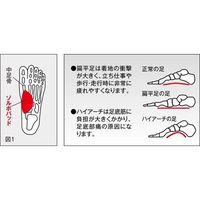 三進興産 ソルボタテアーチサポーター L 64-9626-71 1足（直送品）