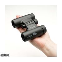 ケンコー・トキナー ウルトラビューH 10倍21mm口径ダハ双眼鏡 ブラック 67-6577-16 1個（直送品）