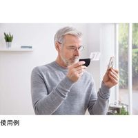 エッシェンバッハ光学ジャパン VISO POCKET 2.5× ブラック 172156 1個 67-7106-06（直送品）