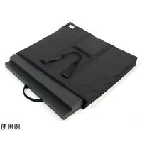 ケンコー・トキナー LUCE 額縁キャリートートバッグ HKE-5154 1個 67-6440-32（直送品）