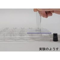 アズワン ショート試験管(10本) 67-6594-87 1セット（直送品）